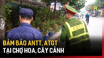 Đảm bảo ANTT, ATGT tại chợ hoa, cây cảnh | Bản tin 141