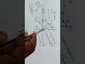 Terms related to PARABOLA 
