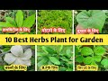 which Vegetables grow in february { hindi }