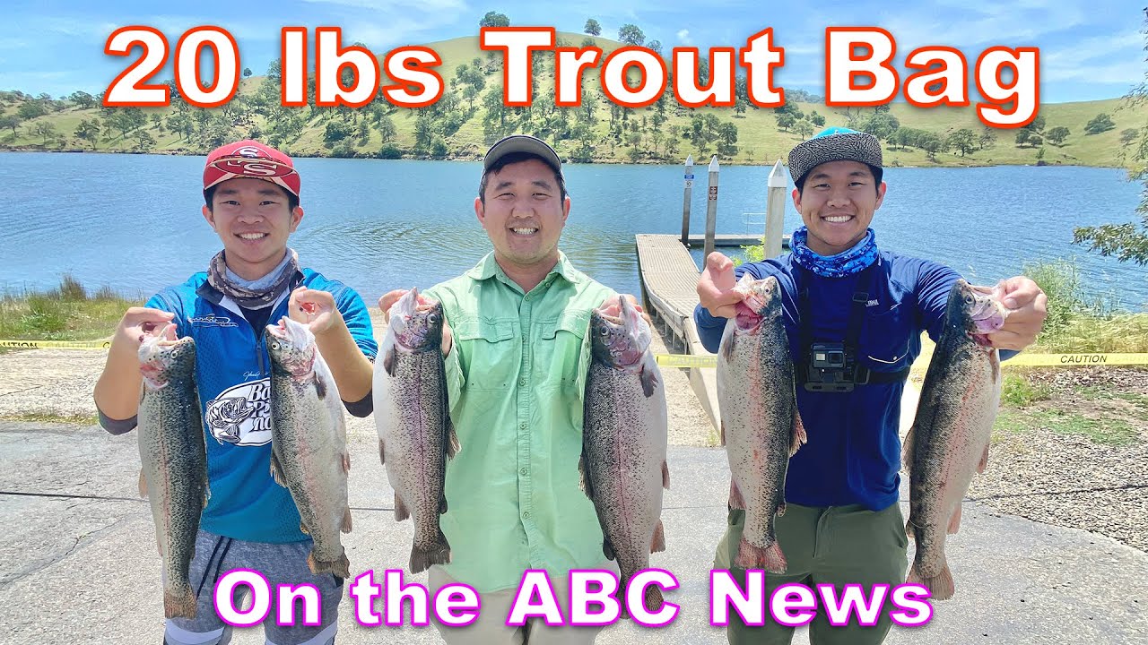 Our biggest Trout Bag (20lbs) Ever (Lake McSwain)!!! YouTube