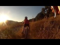 Stella Crash Rush Creek