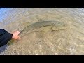 How to catch Snook and Trout (beach fishing florida) - YouTube