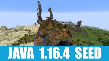 Minecraft Java 1.16.4 Seed: This village spawns on top of the hill overlooking various biomes