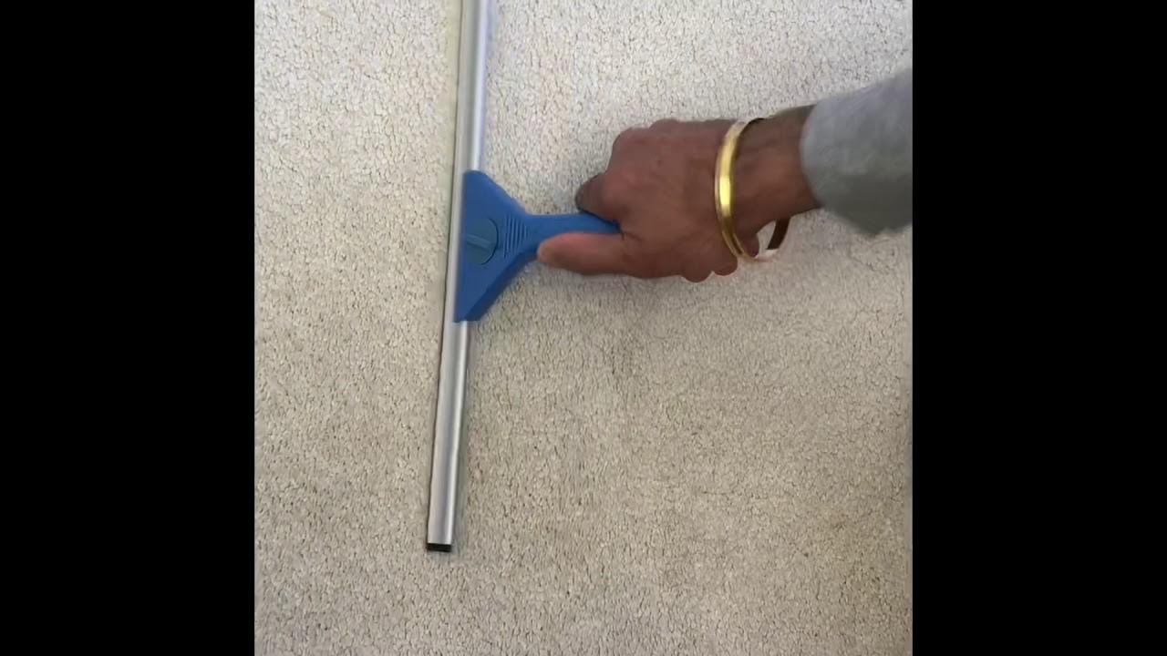 How to remove hairs from your carpet using a WINDOW SQUEEGEE YouTube