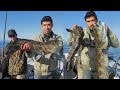 HUGE CABEZON and the JACKPOT Lingcod.  Everyone get their limits here!!!