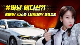 [카터뷰] 520D 탈탈 털어보자! 셀프 카터뷰 BMW 520D 럭셔리 2018 | BMW 520D LUXURY 2018