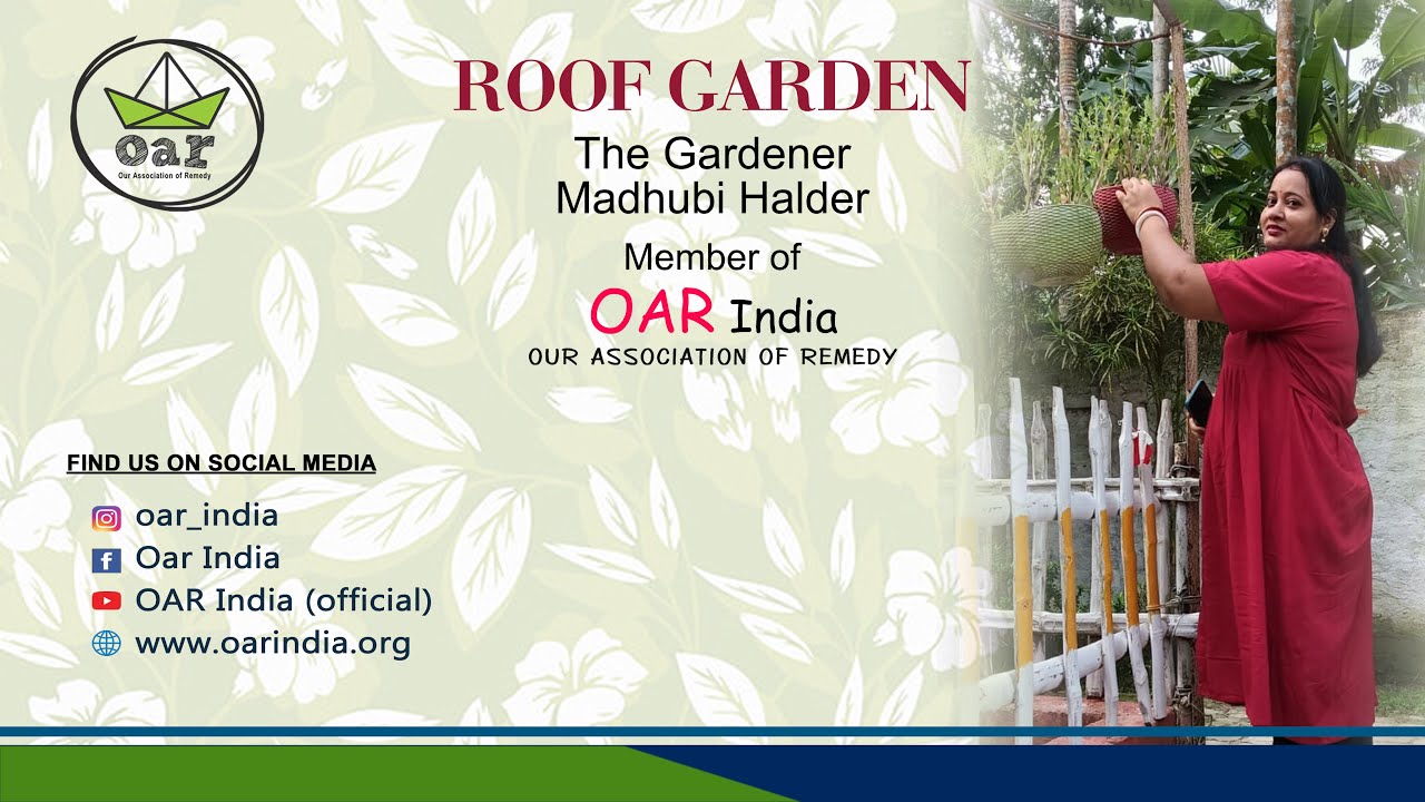 🌱 Greening the Rooftop | Mrs. Madhobi Halder’s Inspiring Urban Garden with OAR 🌱