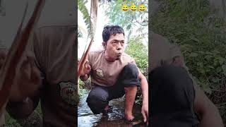 smart cat #comedy #funny