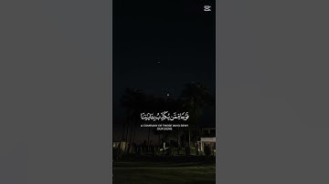 اكتب شيء تؤجر عليه ❤🎧😴 #المصحف #راحة_نفسية #اكسبلور #الرحمن #تلاوة_خاشعة #لايك #صوت_جميل #قرآن
