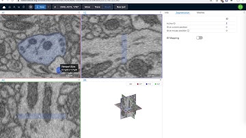 webKnossos: Creating Volume Annotations