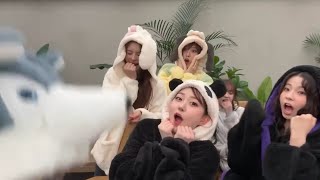 nmixx ot6 live in a nutshell (overstimulating)