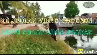 kumpulan video lucu cicofun