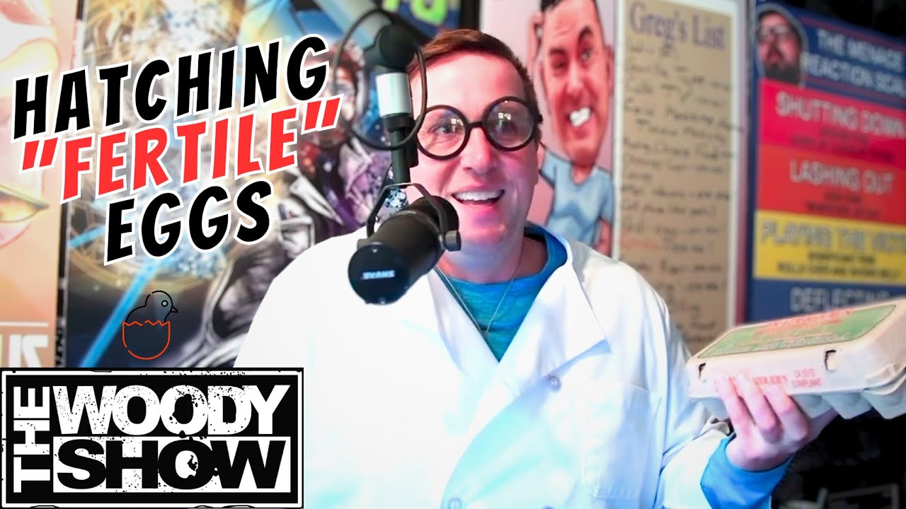 can-you-hatch-store-bought-eggs-science-with-sebas-youtube