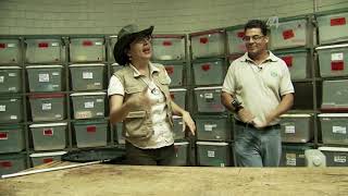 From the Zoo: How do they cure turtles? screenshot 2