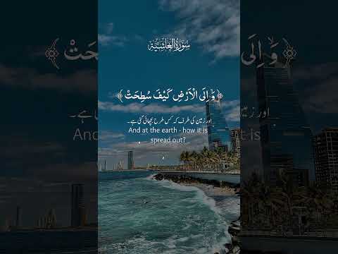 القرآن الكريم ابلور الرحمن حج دويتو النظافه تيك توك المراه لايك اهميه 