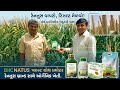 🌾 ભાંડોતરા ગામમાં બાજરીના પાક પર રેનાટસ ઓર્ગેનિક પ્રોડક્ટ્સનો જબરદસ્ત ચમત્કારિક પરિણામ! 🚜✨