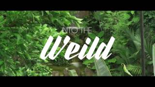 Trailer INTO THE WEILD - WEI 2015