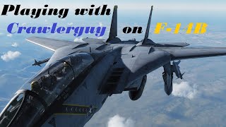 DCS World: Online on F-14B | Two players in one combat aircraft!