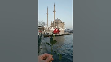 #القرآن_الكريم #راحة #راحة_نفسية #قرآن #قران_كريم #تلاوات #تلاوة_خاشعة #تلاوة_هادئة