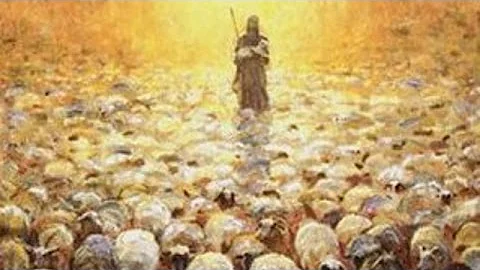 Homily for Good Shepherd Sunday - May 7, 2017