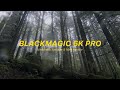 BlackMagic Pocket 6K Pro Cinematic - Mini Review