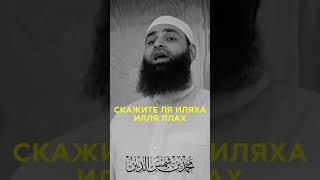 Скажите: Ля Иляха Илля Ллах и Вы Преуспеете! Мухаммад Бин Шамсуддин #коран