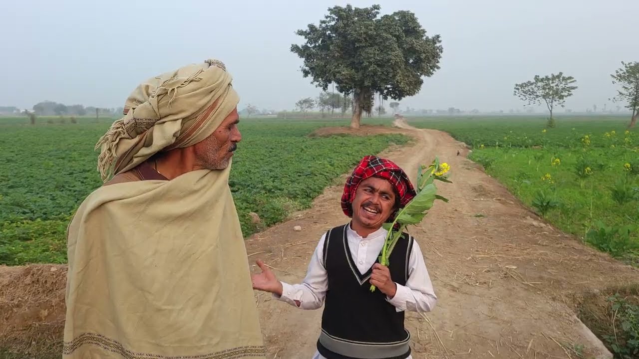Number Daar Aur Malangi Behans Ki Talash New Punjabi Funny Video | Most Comedy Video | HD 2026