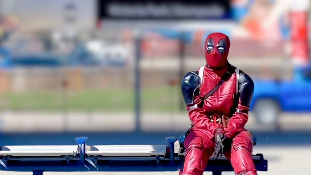 My Calgary Parade of Wonders Experience! BEST Moments and Highlights!