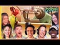 TOP Flash the Sloth at the DMV 🤣 Zootopia (2016) Movie Reaction Compilation Mashup