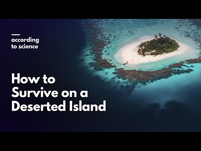 How to Survive on a Deserted Island - According to Science