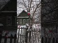 уютная зима ❄ в деревне