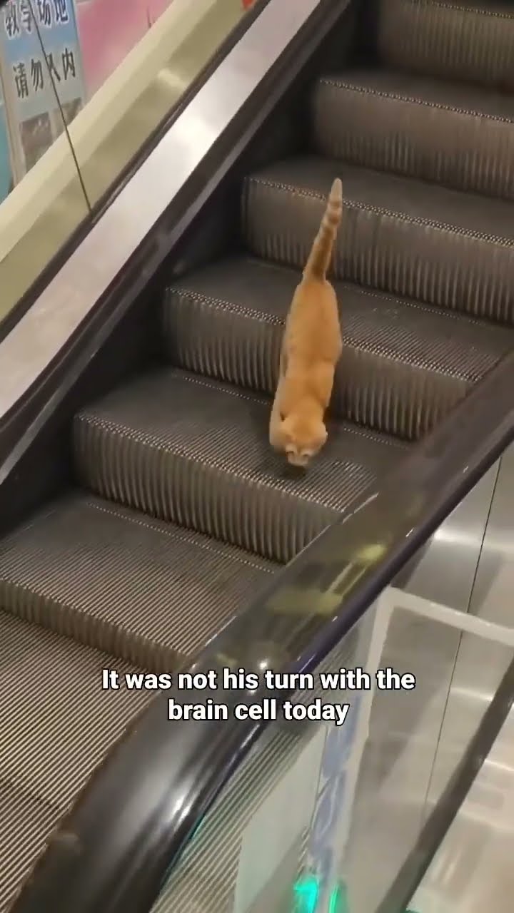 Kittyo like time to make that move twin it’s a Saturday