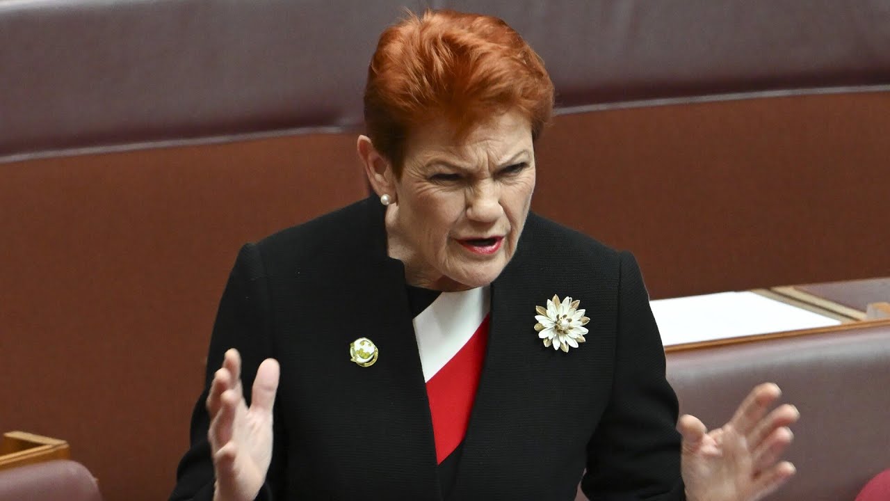 Pauline Hanson delivers brutal line to senators who ‘tried to silence’ her