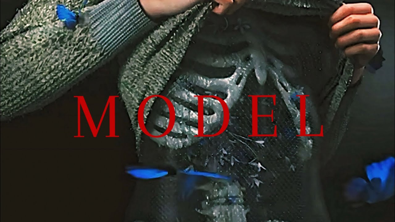 Lambflako, RAGE4U - MODEL (Visualizer)