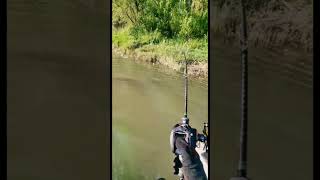 Хороший сом #shorts #fishing #ловитьрыбу #рыбалка #ловлякарпа #рыбалка2022