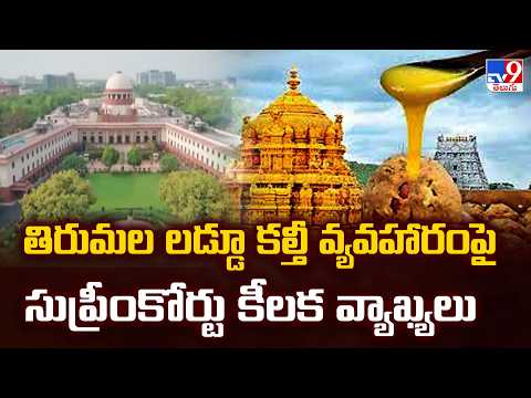 SC on TTD Laddu Ghee Case : తిరుమల లడ్డూ కల్తీ వ్యవహారంపై సుప్రీంకోర్టు కీలక వ్యాఖ్యలు - TV9 - TV9