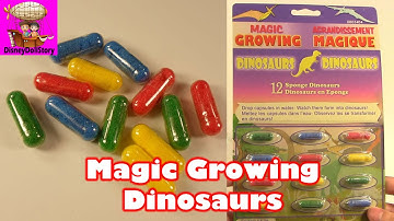 Magic Growing Dinosaur Eggs ~ Toy Opening Video