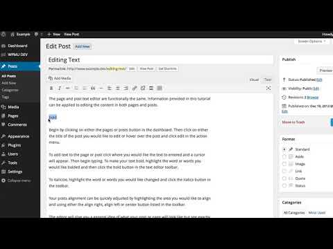 Editing Text in WordPress Visual Editor