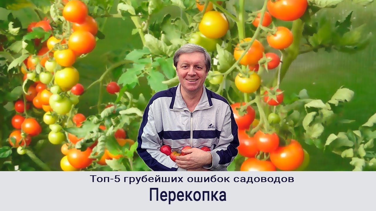 191121 5 ошибок садовода. 1. Перекопка.