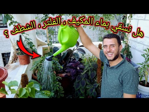 هل نسقي نباتاتنا بماء المكيف بماء الغسيل الماء الراجع من الفلتر ماء الشطف 