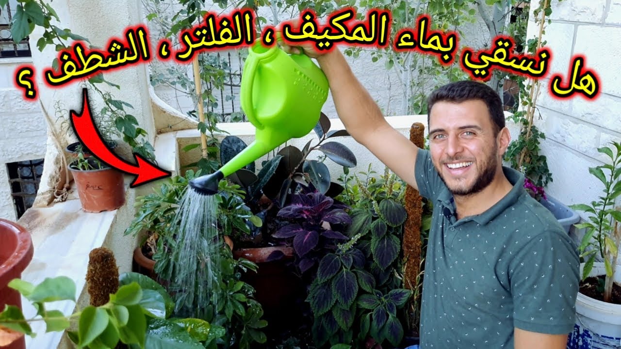 هل نسقي نباتاتنا بماء المكيف ؟ بماء الغسيل ؟ الماء الراجع من الفلتر ؟ ماء الشطف ؟