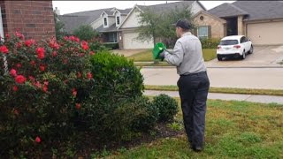 Our 4-Step Residential General Pest Control Service