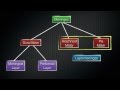 Understanding the Meninges of the Central Nervous System