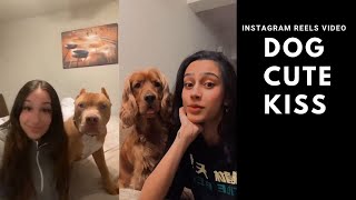 Dog cute Kiss Two Best Friends In Room video instagram reels by Cute animal things 1,161 views 2 years ago 1 minute, 28 seconds