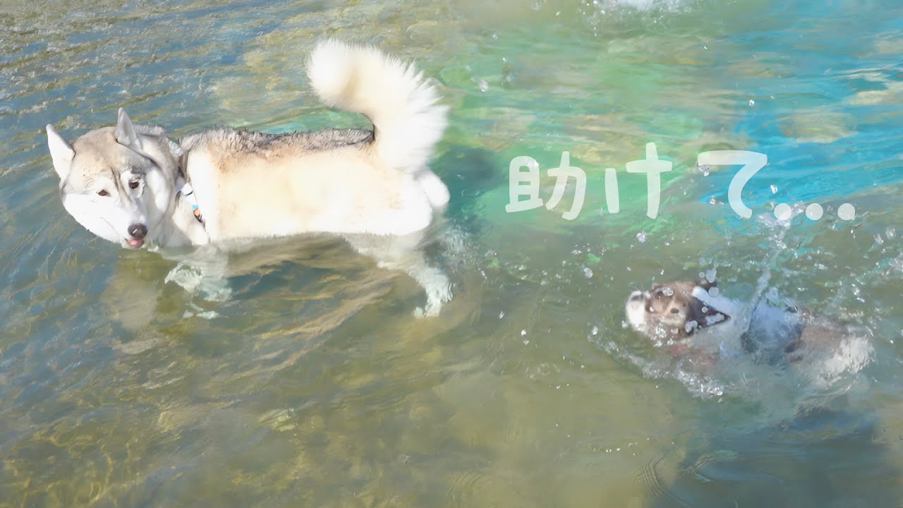 I turned around and saw my friend drowning and asking for help