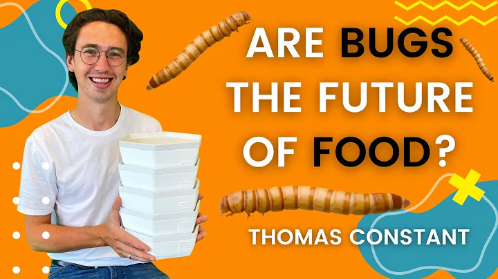 Is eating INSECTS the FUTURE of FOOD? | Thomas Con...