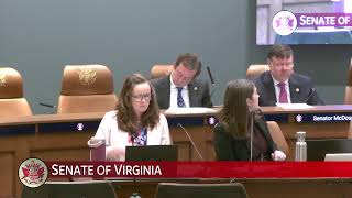 Senate of Virginia: SFAC: Public Safety & Claims Subcommittee on 2025-02-12 [Finished]