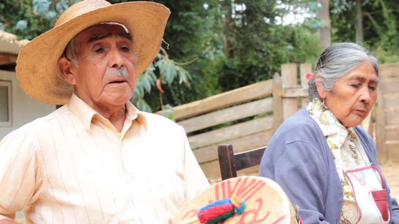 Energías renovables en comunidad Mapuche EGEA ONG  2016