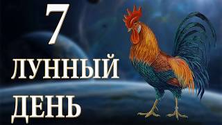 видео Фаза Луны 19.11.2018. Лунный день 19 ноября 2018 года по лунному календарю — Луна сегодня