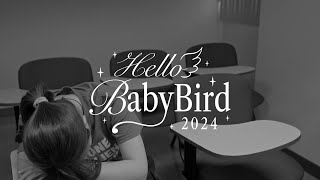 Hello Baby Bird 2024 - Fiesta De Los Cisnes